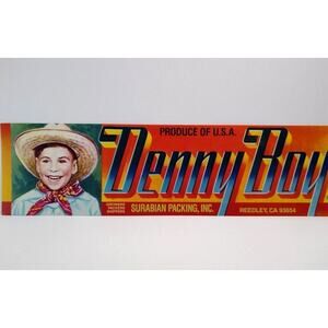 Denny Boy Fruit Crate Label Young Smiling Western Boy Original Vintage 1960's